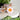 Gourd-ous | Pet ID Tag