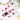 Strawberry Fields | Cat and Dog Collar