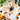 Jack-o-lantern | Cat and Dog Collar