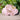 Kaleidoscope PINK | Pet ID Tag