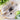 Practical Magic | Cat and Dog Collar